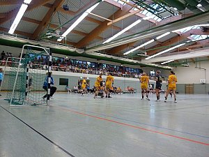 Werbung f&uuml;r den Handball
