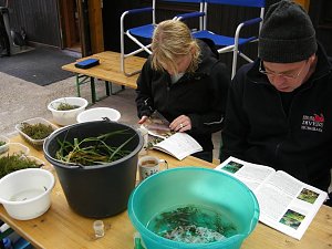 BIONAUT - Mit Literatur zum Erfolg