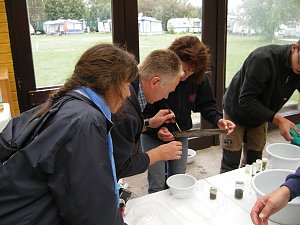 BIONAUT - Bestimmung von Organismen
