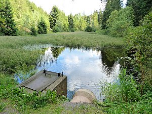 Bilder aus Sorge