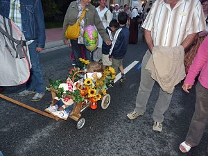 Bauernheer in Bad Frankenhausen