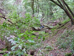 Steigerthaler Wandertag