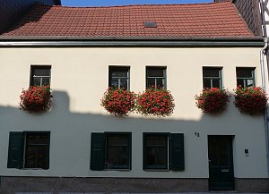 Blumenmeer Bad Frankenhausen