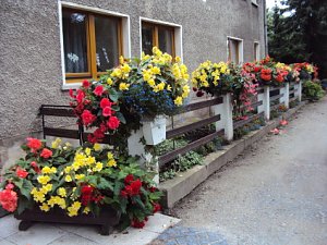 Blumenmeer Bad Frankenhausen