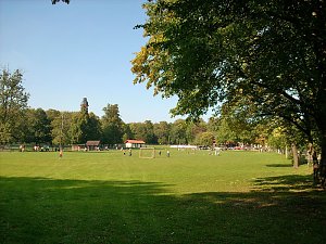 Wetter lockte