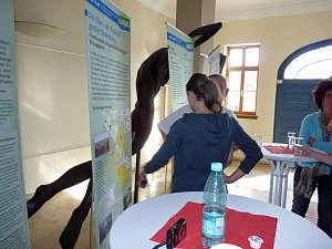 Ausstellung Flut