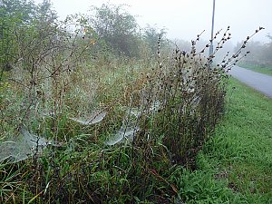 Natur genie&szlig;en
