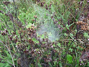 Natur genie&szlig;en