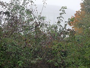 Natur genie&szlig;en