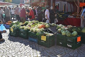 Unterwegs auf dem Markt