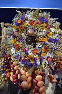 Unterwegs auf dem Markt