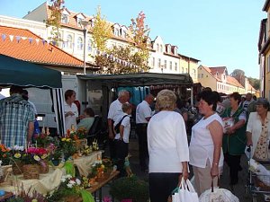 Wetter stimmte zum Zwiebelmarkt