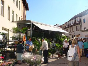 Wetter stimmte zum Zwiebelmarkt