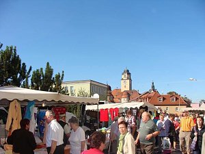 Wetter stimmte zum Zwiebelmarkt