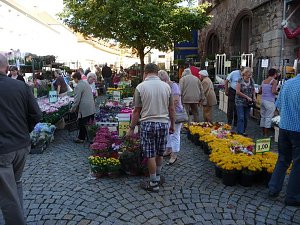 Markt zwischen Rath&auml;usern