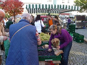 Markt zwischen Rath&auml;usern