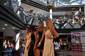 Miss & Mister S&uuml;dharz 2011
