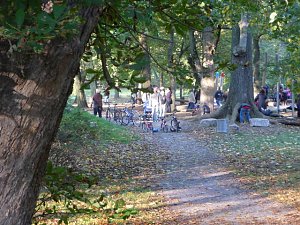 Walk in the Park