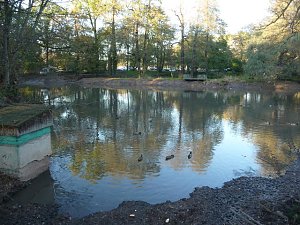 Walk in the Park