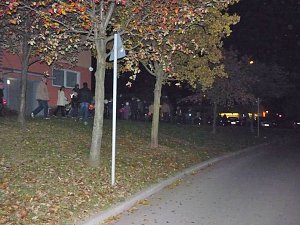 Lindwurm in der Stadt