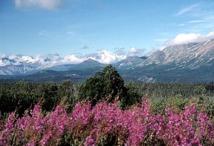 Unterwegs in Kanada