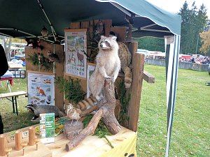 Herbstmarkt in Benneckenstein