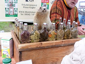 Herbstmarkt in Benneckenstein