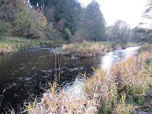 Unterwegs in K&ouml;nigsh&uuml;tte