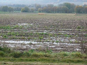 Hochwasser ohne Regen?