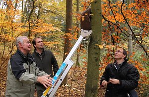 Schutz f&uuml;r den Siebenschl&auml;fer