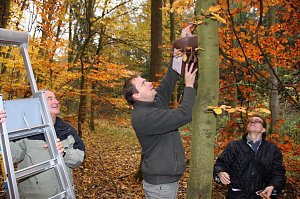 Schutz f&uuml;r den Siebenschl&auml;fer