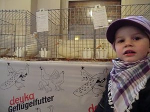 Auf der Suche nach der Martinsgans