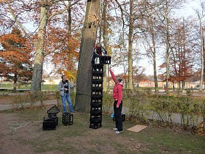 Kletterturm erobert