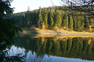 An der Neustädter Talsperre