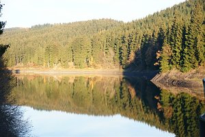An der Neustädter Talsperre