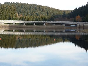 Im Harz entdeckt