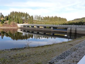 Im Harz entdeckt