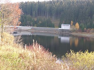 Im Harz entdeckt