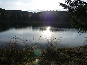 Im Harz entdeckt