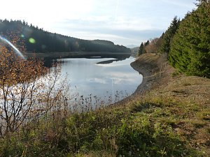 Im Harz entdeckt