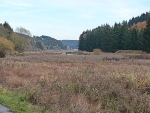 Im Harz entdeckt