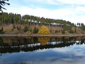 Im Harz entdeckt