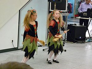 Stock&acute;sen Wipperau