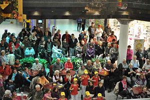 Karneval in der S&uuml;dharzgalerie