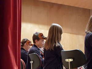 Vielf&auml;ltige Laienorchester