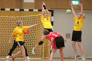 Das Handball-Wochenende