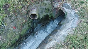 Kloake Steigerthal