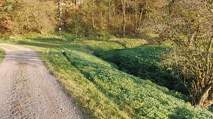 Kloake Steigerthal