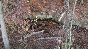 Kloake Steigerthal
