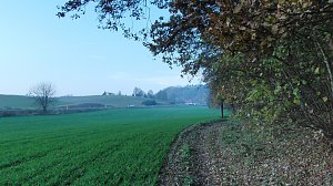 Kloake Steigerthal